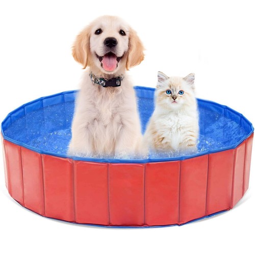 Piscine pour chien - pour,