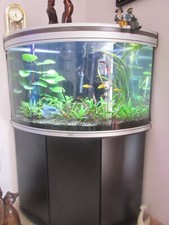 aquarium d'angle avec meuble