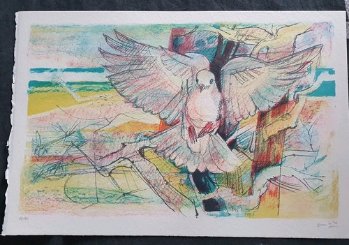 Colombe paul ambille - -,