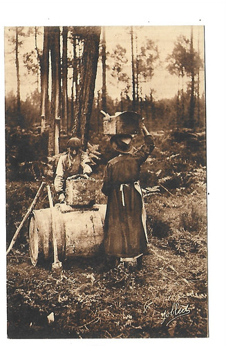 Dans les landes - les,