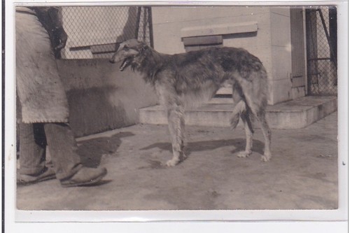 Cyprien carte photo - st-cyprien,