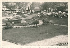 Snapshot Picnicers' Shelter Bar Steak Grilled Umbrellas Garden Game Dining 