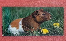 Carte MERVEILLES DU MONDE