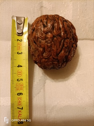 Noix sculptée chinoise dite
