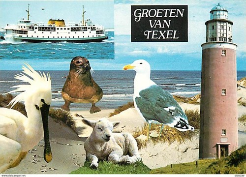 Carte postale pays - pays-bas,