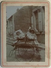 Snapsshot Two Girls Stroller