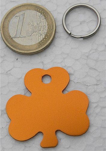 Medaille gravee chien chat - gravee,