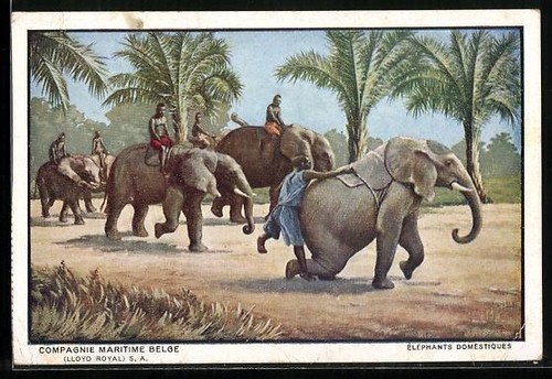 Carte postale compagnie - carte,