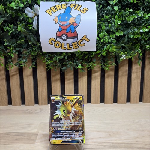 Carte pokemon voltali - 🇫🇷,
