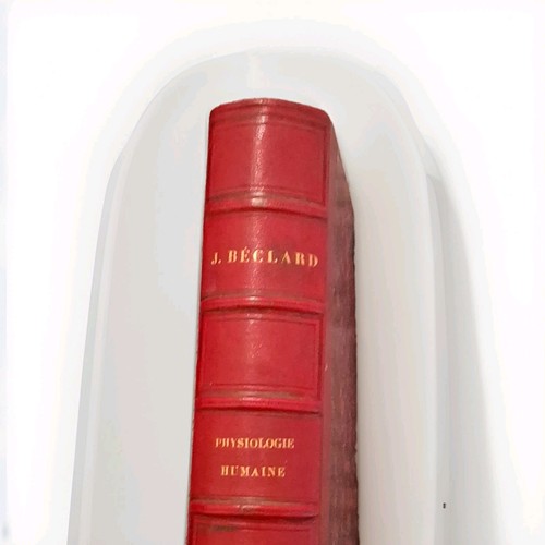 Béclard traité - j.,