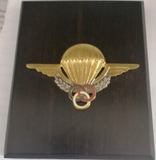 BMP Patent Paratrooper Monitor Metal 7.5 x 4.5 cm Press Wood Papers 1980