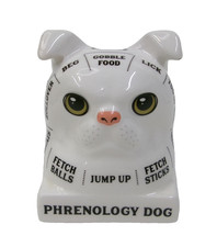 Phrenology Dog White Pug Head Figurine