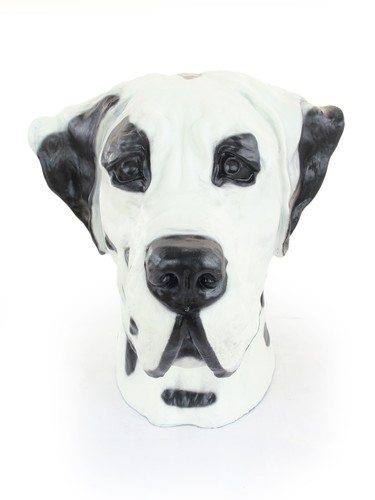 Dogue allemand harzurne - dogue,