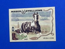 2019 Topps Allen & Ginter Irish Cob Horse Mares Stallions #MS-13 (Q)