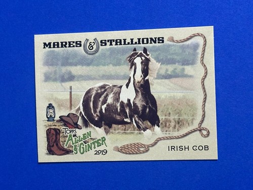 2019 topps allen - topps,