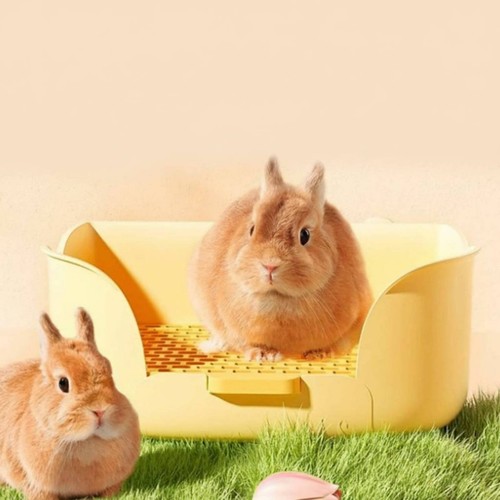 Bac toilette lapin nain - nain, bords