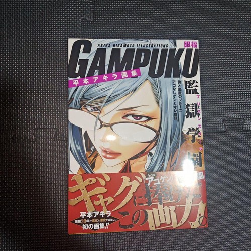 Akira hiramoto art book - hiramoto,
