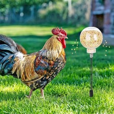 Jouet à picorer pour poules