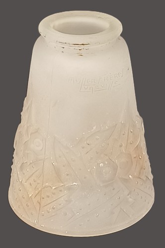 Tulipe muller frères - tulipe,