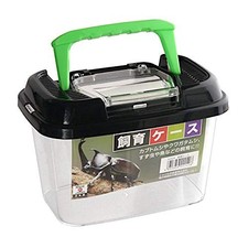 Terrarium for Bugs, Fish