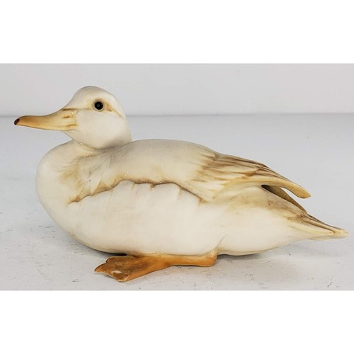 Kaiser germany duckling - w.,