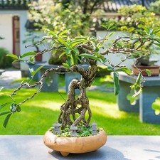  3 pièces Mini pagode jardin statue miniature style japonais pagode lanterne