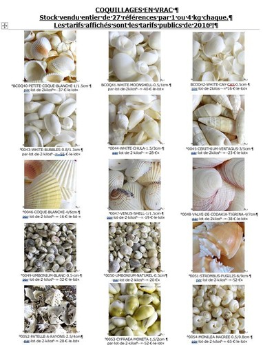 Coquillages bivalves - , +