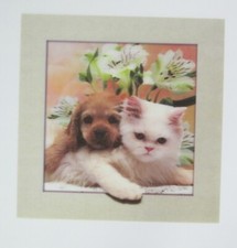 Chiot Et Chaton Lenticulaire