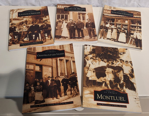 Lot livres memoires en - livres,