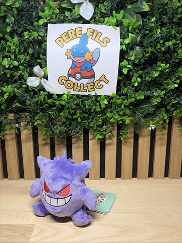Rare peluche pokemon center - rare,