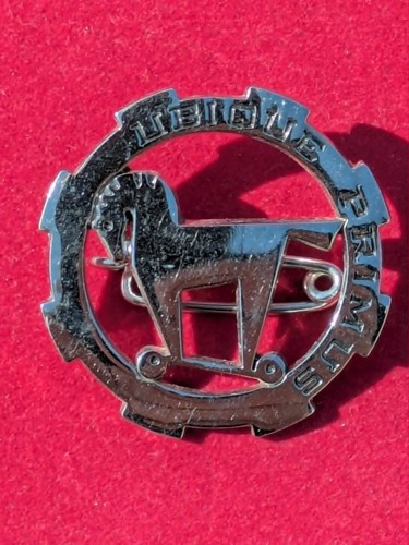 Insigne arthus bertrand - insigne,
