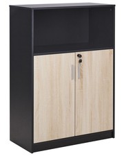 Armoire de Bureau à 2 Portes