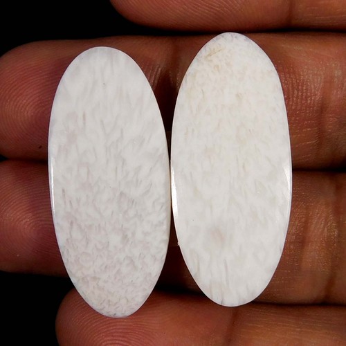 70cts paire de pierres - 27.70cts.,