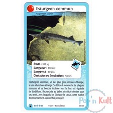 Carte Défis Nature Protect 69/300 Esturgeon commun ★★★★ [FR] Forces Nature NM