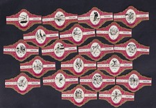 Série  Bague de Cigare