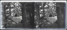 FRANCE Baby in a Hammock c1930 Photo NEGATIVE Vintage Glass Plate V24L10n