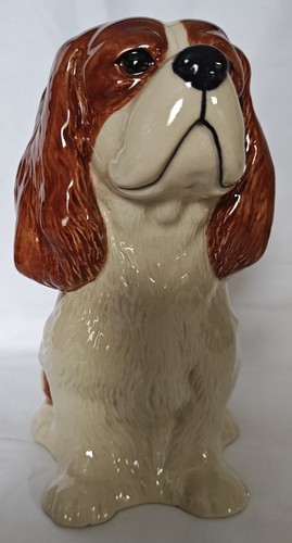 Cavalier king charles - cavalier,