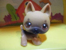 Petshop Chien Berger allemand