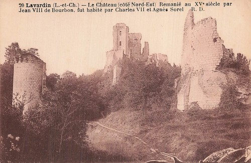 Lavardin chateau - 41,
