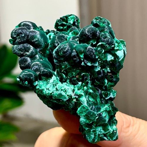 81g natural glossy malachite - 81g,