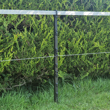Piquet De Clôture Électrique