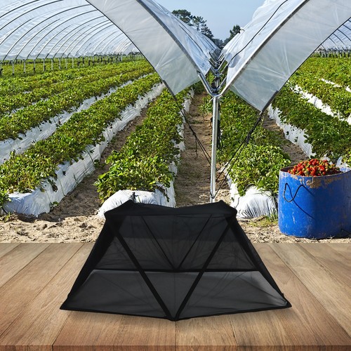 Tente pliable pour plantes - tente,