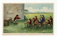 Chardonnerets, mésanges