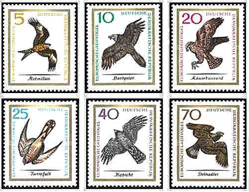 Timbres oiseaux rapaces - oiseaux,