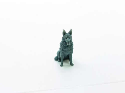 Chien assis hauteur - hauteur,