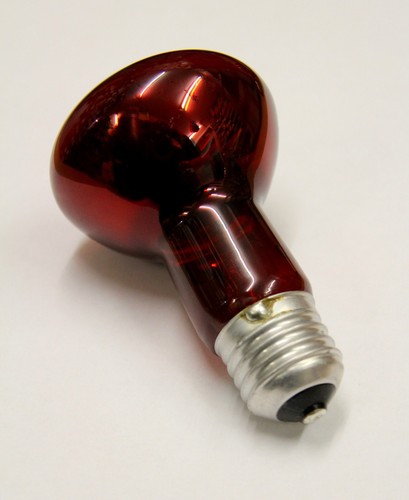 Lampe infrarouge red r63 - red,
