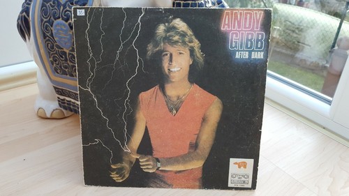 Schallplatte andy gibb - lp,