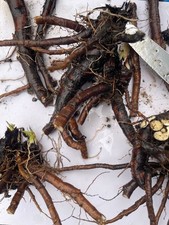 🧑🏻‍🌾 ➤ 4 Grosses