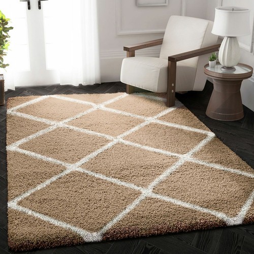 Poils longs shaggy tapis - poils,