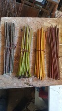 100 Boutures 30cm  Saule osier